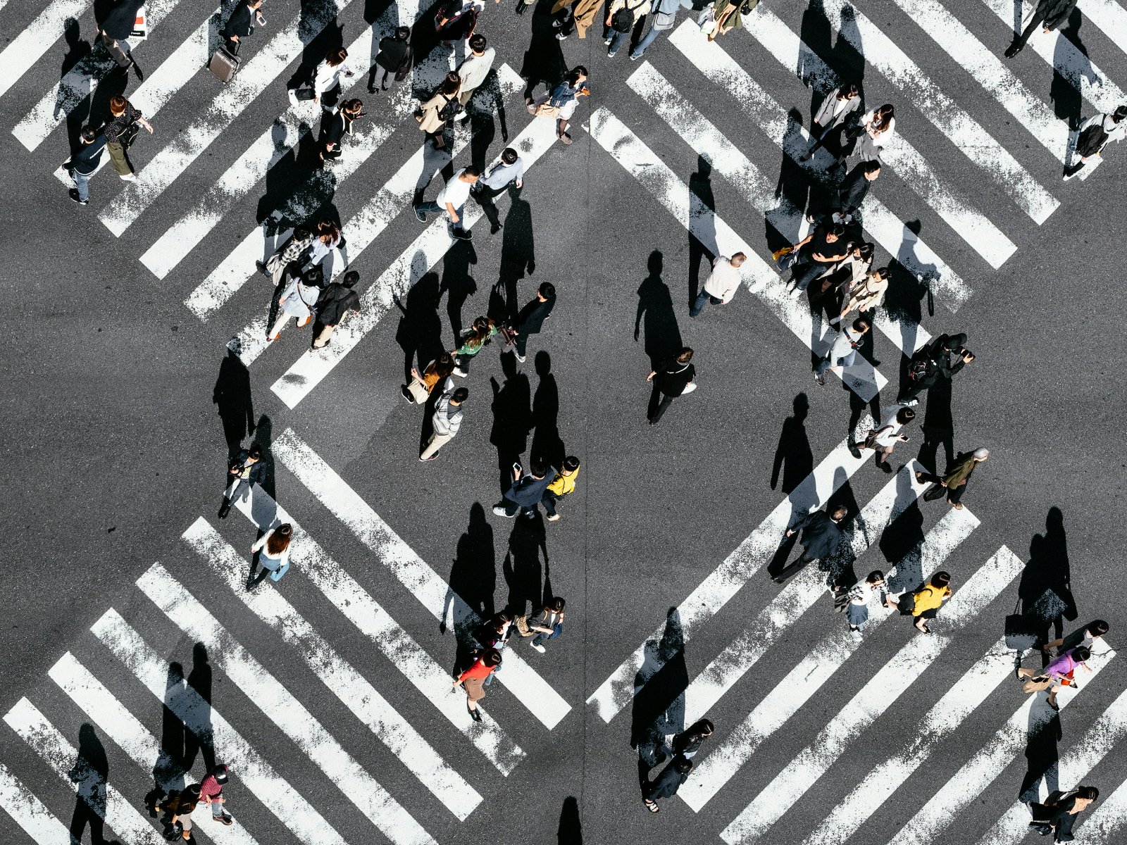 Outsmart Your Online Competition —How to Use Porter’s Five Forces