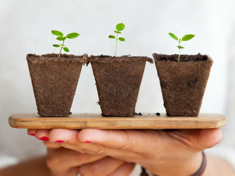 Revenue streams for businesses