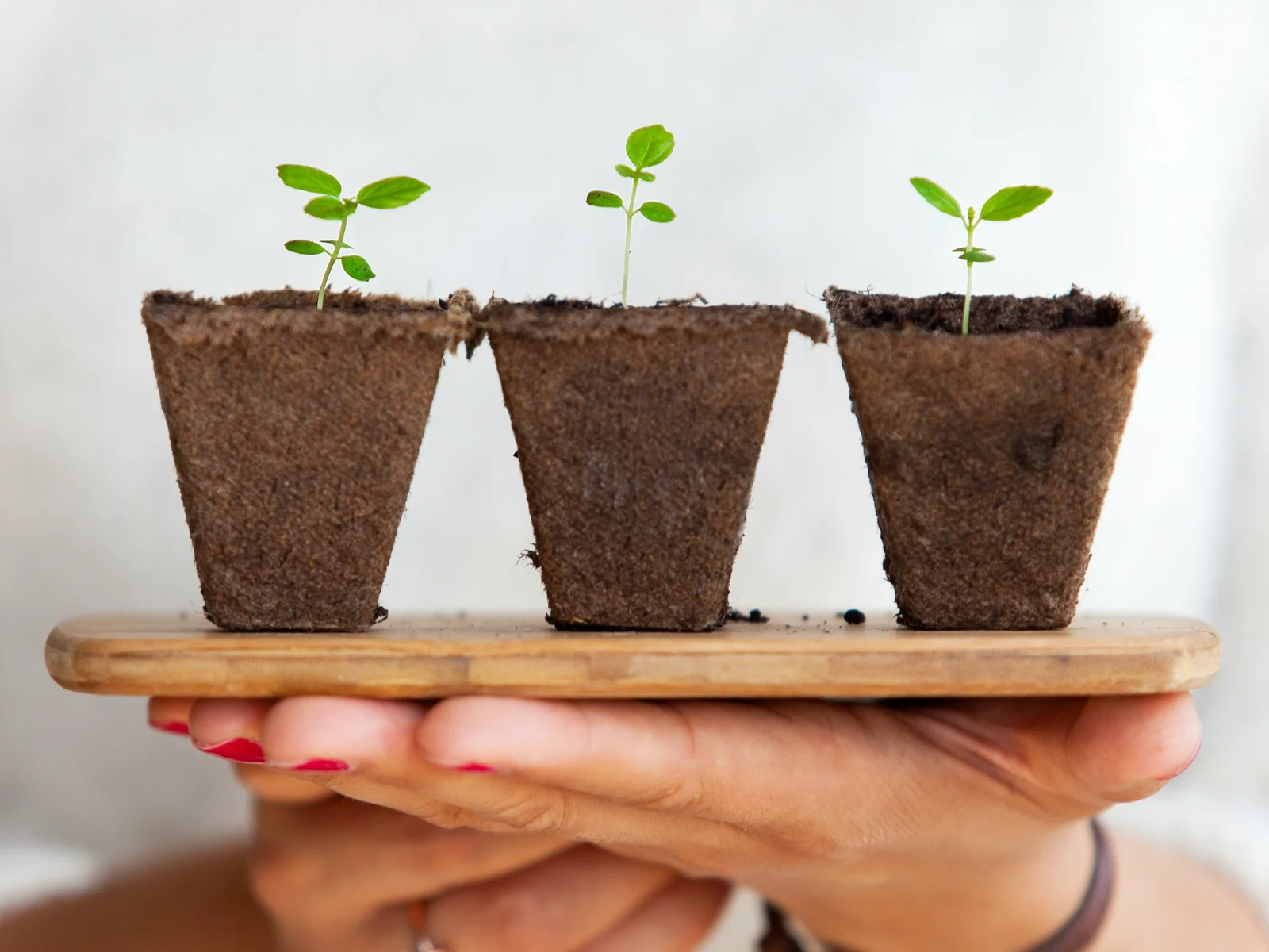 Revenue streams for businesses
