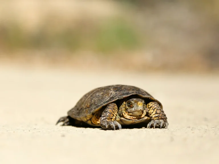 Prepare for slow seasons in business